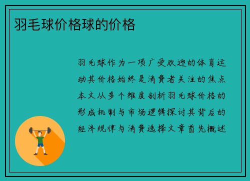 羽毛球价格球的价格